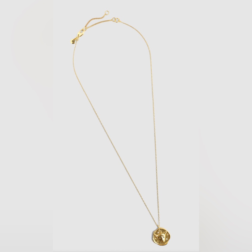 NWT MADEWELL Zodiac Taurus necklace with pendant - Picture 2 of 7